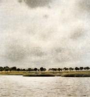 Vilhelm Hammershoi - View of Gentofte Lake
